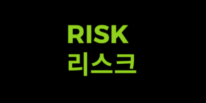 리스크 Risk