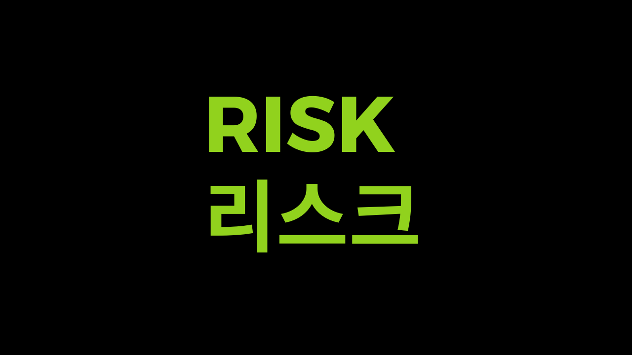 리스크 Risk