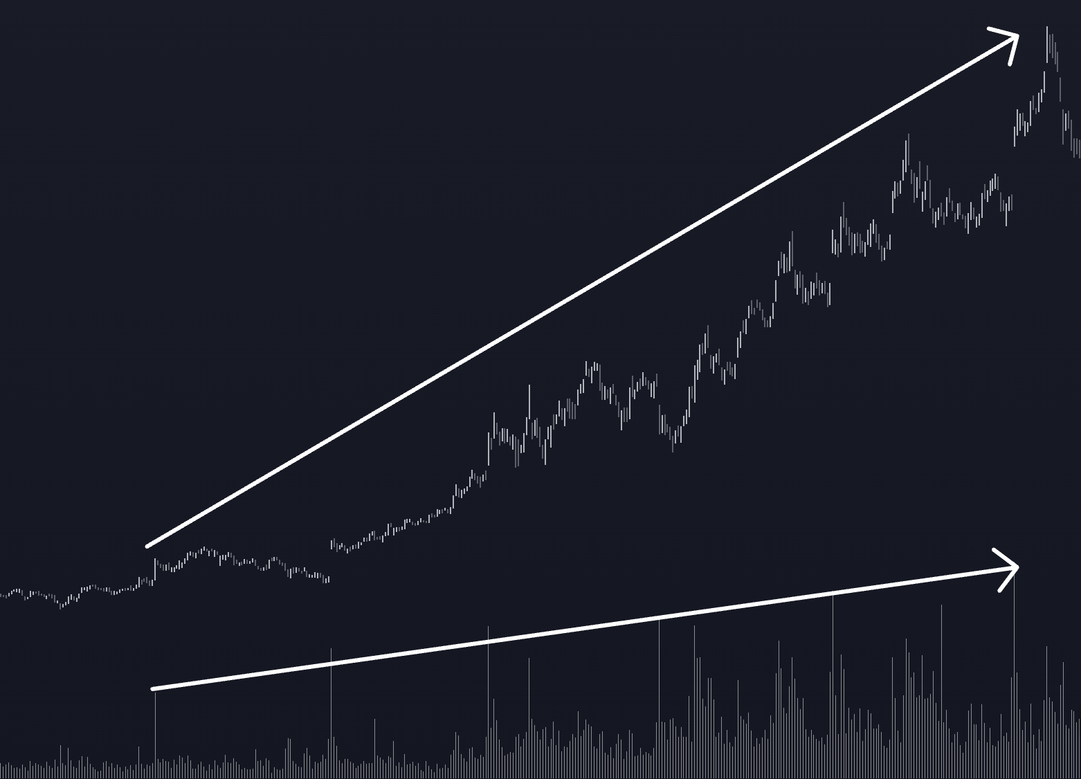 거래량 증가