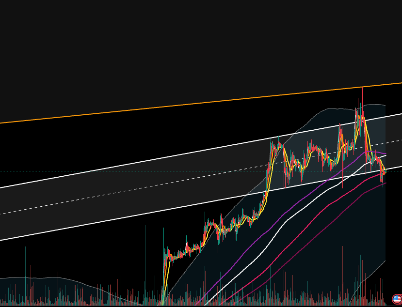 프라이스 액션이랑 프라이스 레벨 Price level 뭐가 중요하지? 프라이스 레벨, 프라이스 액션