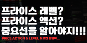 프라이스 레벨, 프라이스 액션