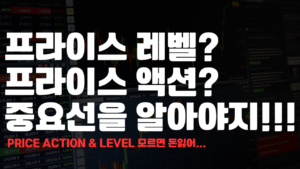 프라이스 레벨, 프라이스 액션