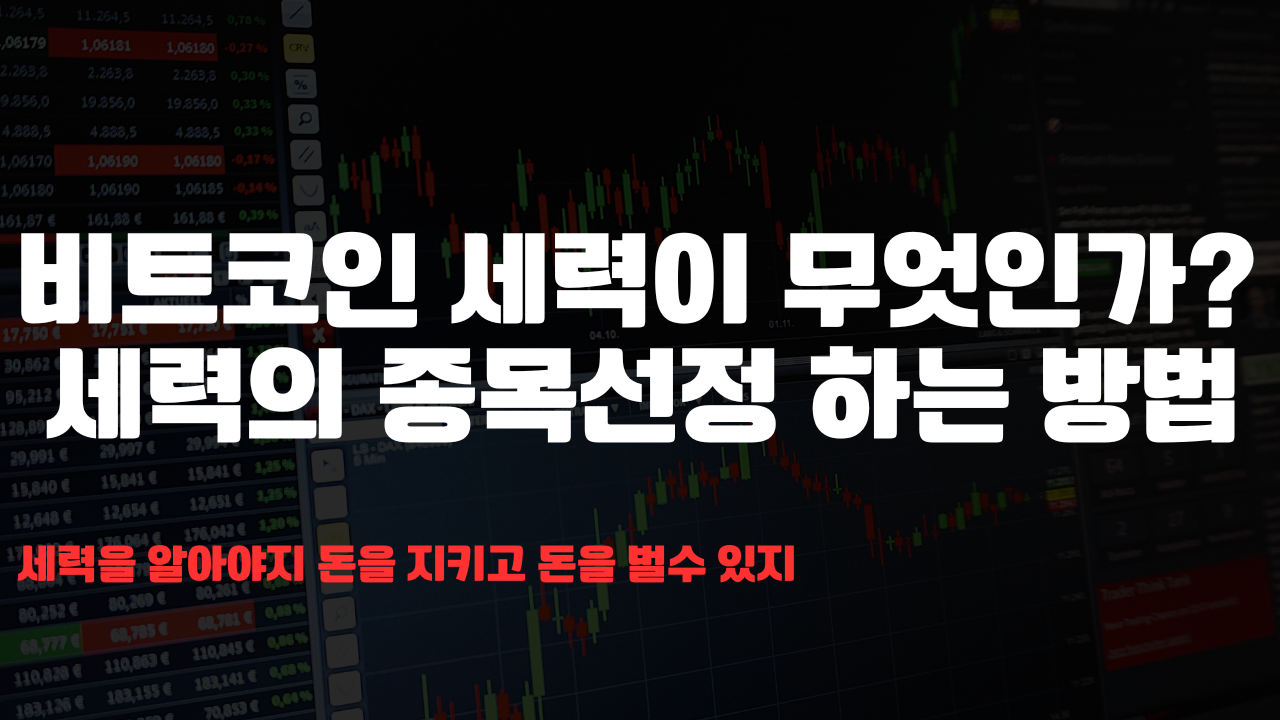 비트코인 세력
