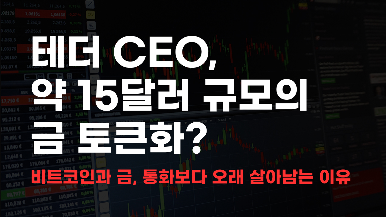 테더 금 토큰화