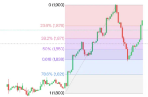 피보나치 되돌림