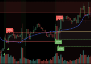수요 공급 존 보는법 5단계: 세력 매집 흔적 찾는 실전 방법 수요 공급 존