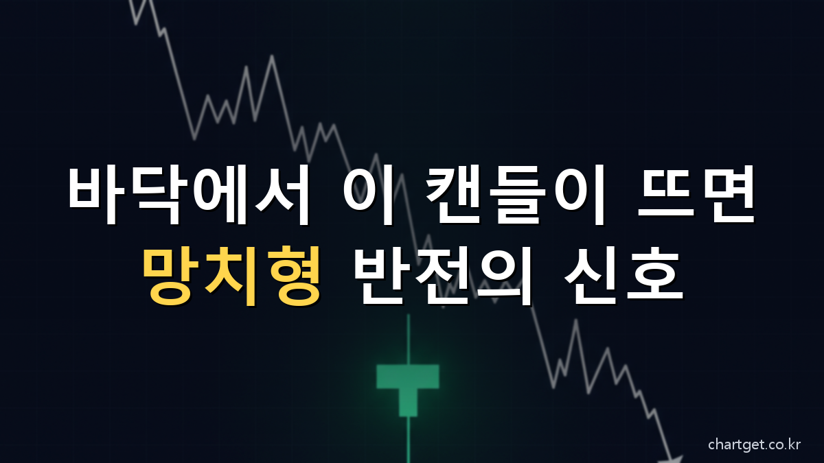 망치형 캔들 반전 신호 - 하락 바닥의 긴 아래꼬리 캔들 썸네일
